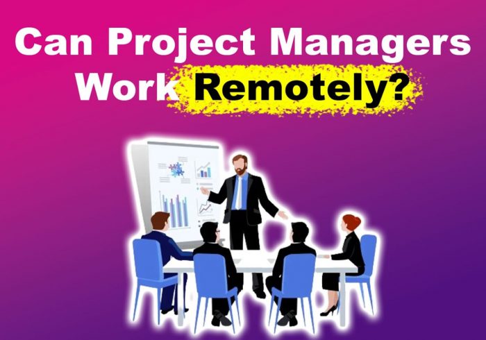 Online Project Manager Effective Guide for Remote Work