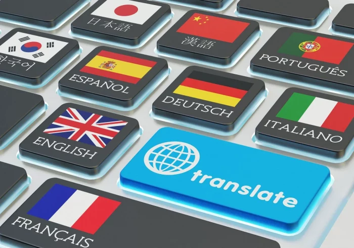 Translation, Linguistic Services